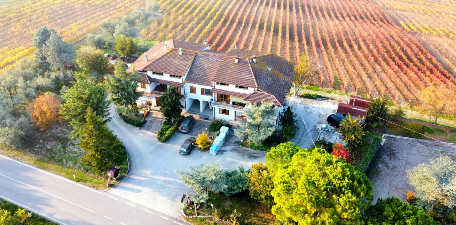 Azienda Agricola Olivetti Credits: https://olivettivini.altervista.org/